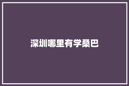 深圳哪里有学桑巴 办公写作