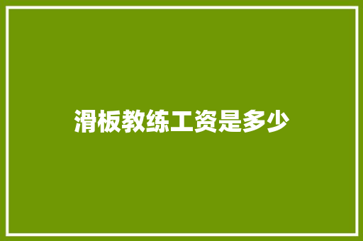 滑板教练工资是多少 管理论文