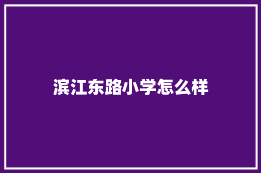滨江东路小学怎么样 个人写作