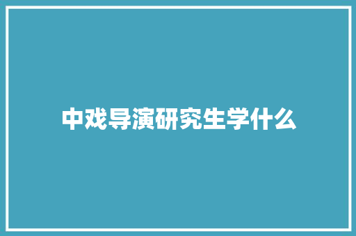 中戏导演研究生学什么 个人写作