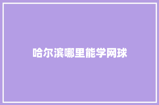哈尔滨哪里能学网球 文秘写作