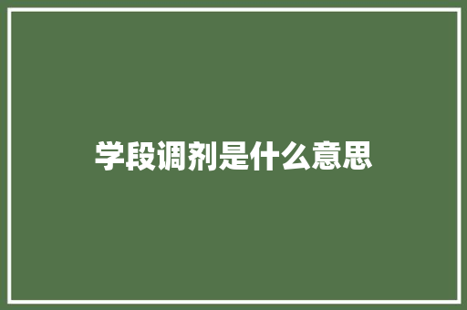 学段调剂是什么意思 管理论文