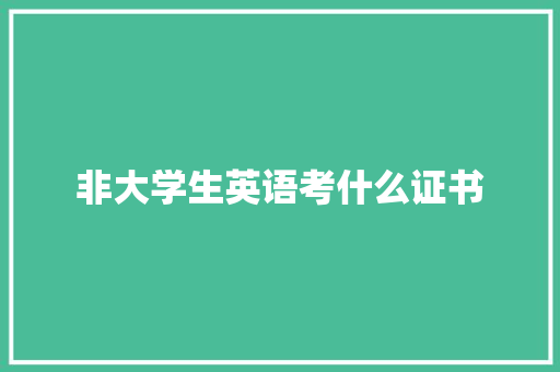 非大学生英语考什么证书 计算机论文