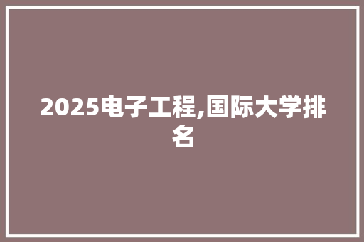 2025电子工程,国际大学排名 简历