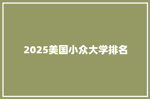 2025美国小众大学排名 社会论文
