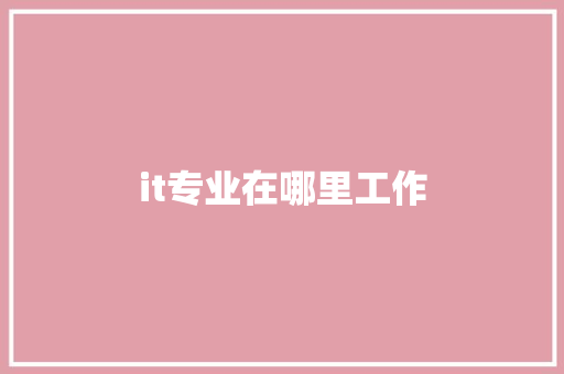 it专业在哪里工作 文秘写作
