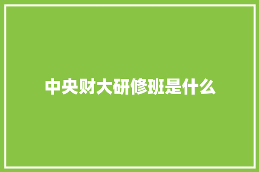 中央财大研修班是什么 毕业设计