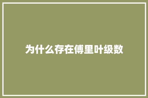 为什么存在傅里叶级数 毕业设计