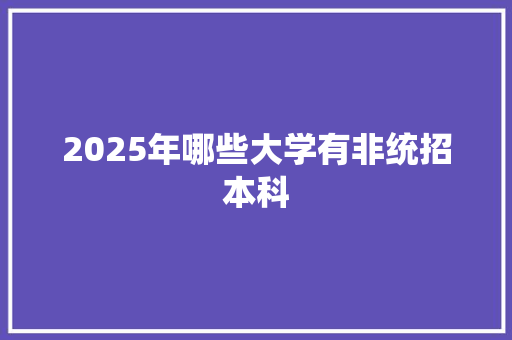 2025年哪些大学有非统招本科 个人写作