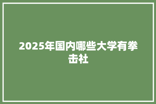 2025年国内哪些大学有拳击社 面试技巧