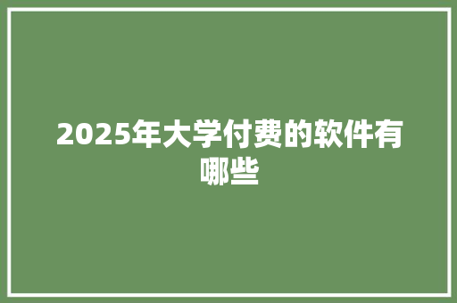 2025年大学付费的软件有哪些 简历