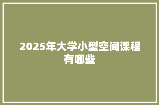 2025年大学小型空间课程有哪些 简历