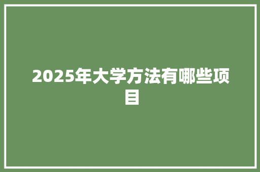 2025年大学方法有哪些项目 个人写作