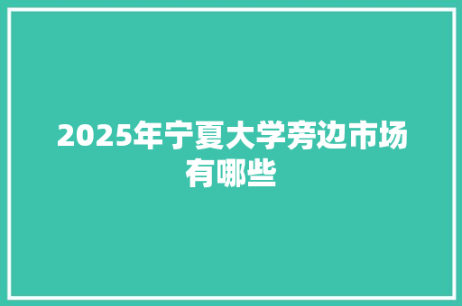2025年宁夏大学旁边市场有哪些 策划方案