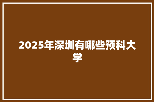 2025年深圳有哪些预科大学 英文简历