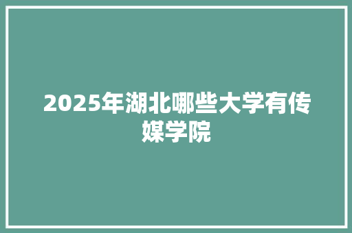 2025年湖北哪些大学有传媒学院 论文