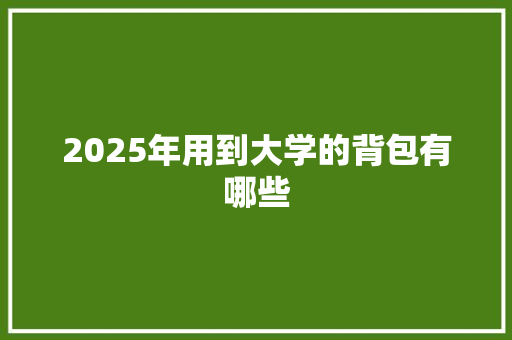 2025年用到大学的背包有哪些 教育论文