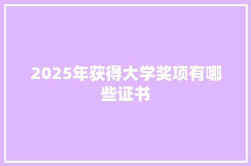 2025年获得大学奖项有哪些证书 英文简历
