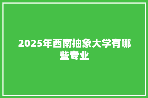 2025年西南抽象大学有哪些专业 公证书