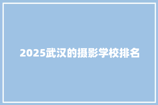 2025武汉的摄影学校排名 文秘写作