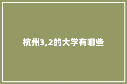 杭州3,2的大学有哪些 计算机论文