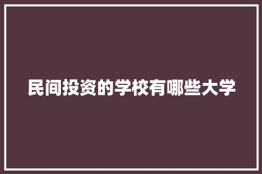 民间投资的学校有哪些大学 简历资料