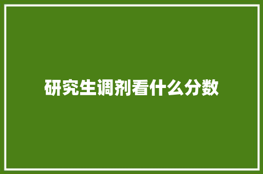 研究生调剂看什么分数 管理论文