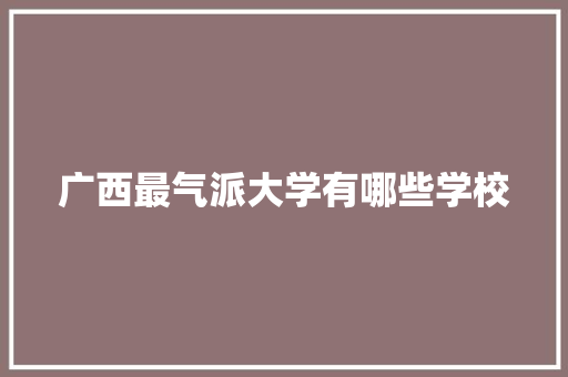 广西最气派大学有哪些学校 计算机论文