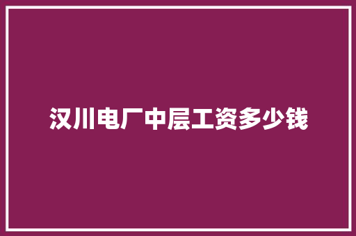 汉川电厂中层工资多少钱 面试技巧