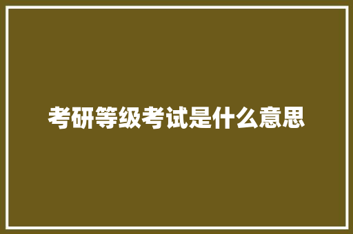 考研等级考试是什么意思 计算机论文