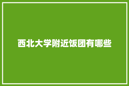 西北大学附近饭团有哪些 个人简历