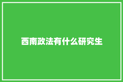 西南政法有什么研究生 社会论文