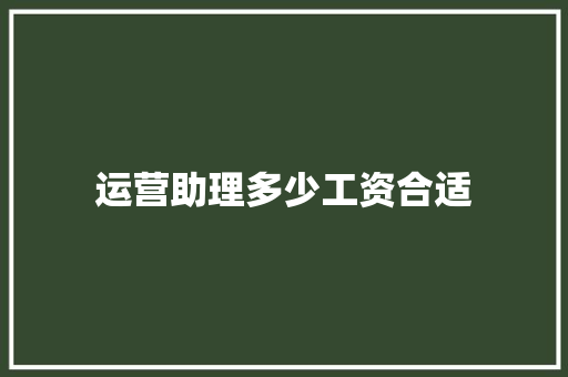 运营助理多少工资合适 计算机论文