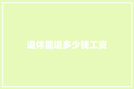 退休能退多少钱工资 管理论文