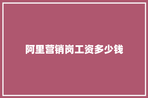 阿里营销岗工资多少钱 个人写作