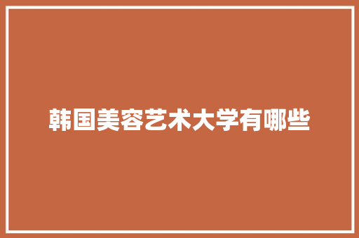 韩国美容艺术大学有哪些 公证书