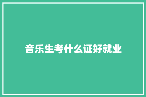 音乐生考什么证好就业 计算机论文