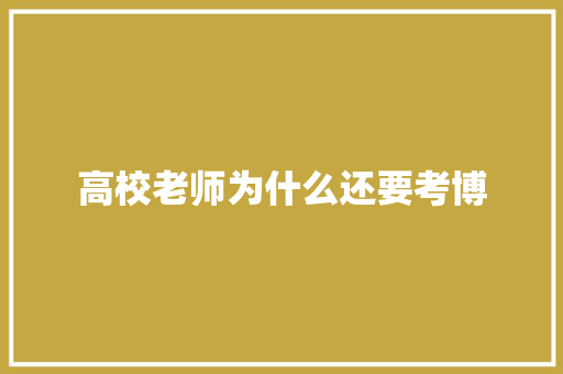 高校老师为什么还要考博 论文