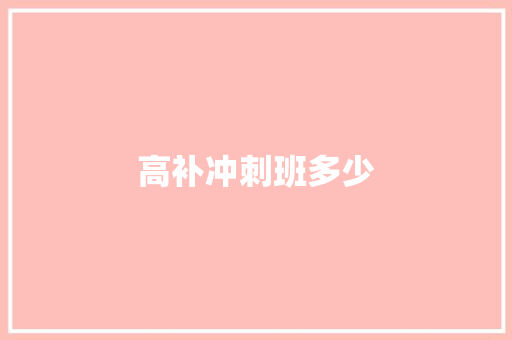 高补冲刺班多少 英文简历