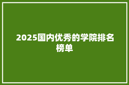 2025国内优秀的学院排名榜单 办公写作
