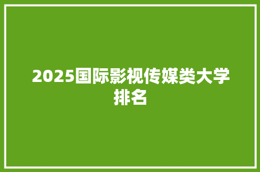 2025国际影视传媒类大学排名 办公写作