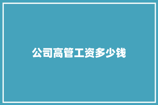 公司高管工资多少钱 管理论文