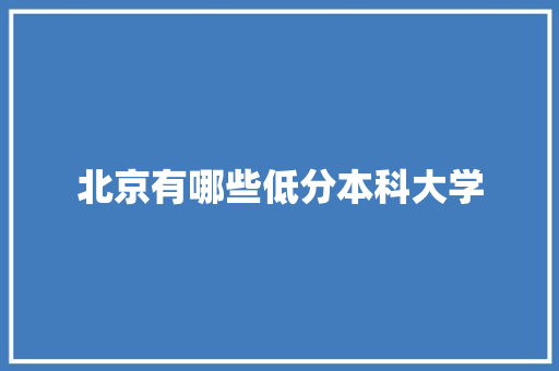 北京有哪些低分本科大学 英文简历