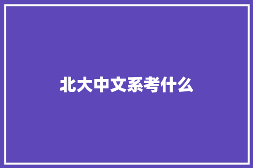 北大中文系考什么 计算机论文