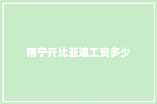 南宁开比亚迪工资多少 英文简历