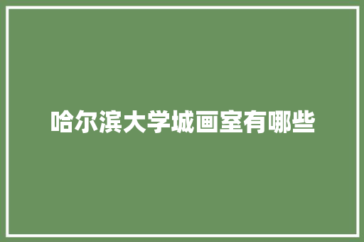 哈尔滨大学城画室有哪些 毕业设计