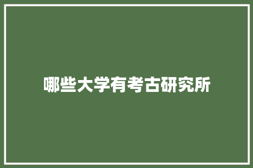 哪些大学有考古研究所 个人简历
