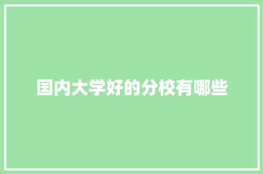 国内大学好的分校有哪些 简历资料