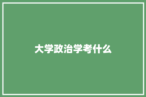 大学政治学考什么 社会论文
