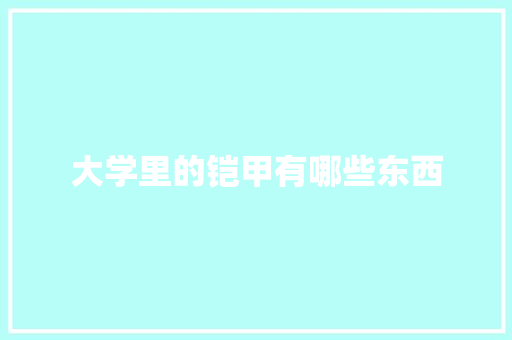 大学里的铠甲有哪些东西 管理论文